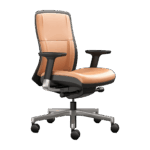 A Versatile Desk Chair